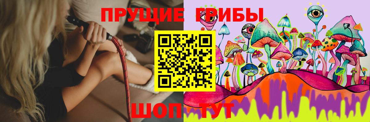 Бердск  Псилоцибиновые грибы MAGIC MUSHROOMS  закладки  Вход с VPN 